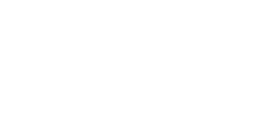 Data Service for Business GmbH - Logo in Weiß